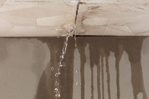 Professional Water Extraction technician working in Edgewater, CO